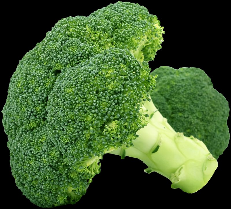 Vegetables for a Balanced Diet